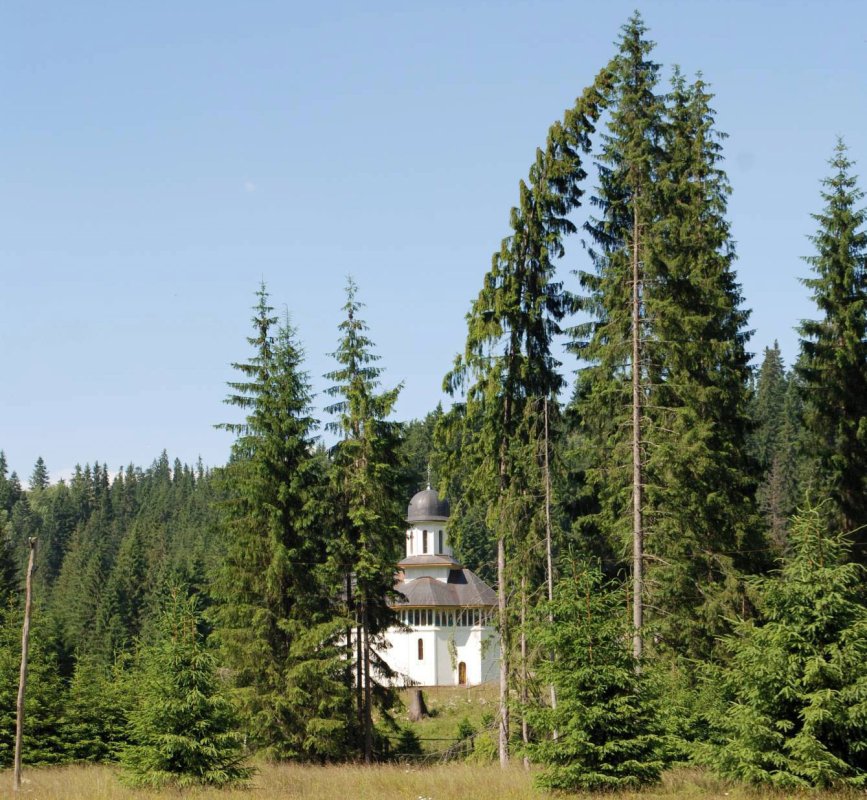   Sfinți și eroi la Schitul Gura Izvor 57808