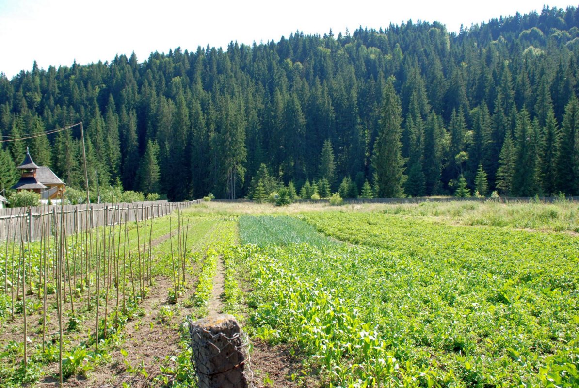   Sfinți și eroi la Schitul Gura Izvor 57813