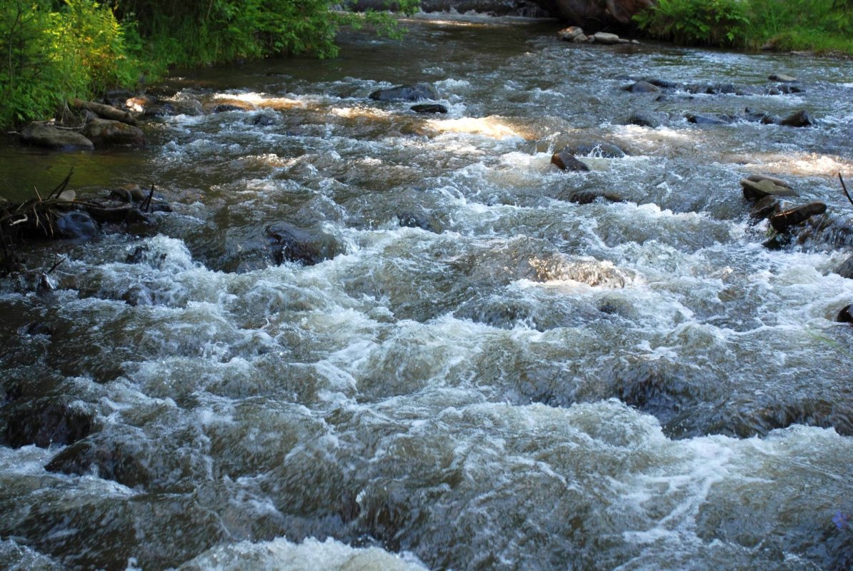   Sfinți și eroi la Schitul Gura Izvor 57818