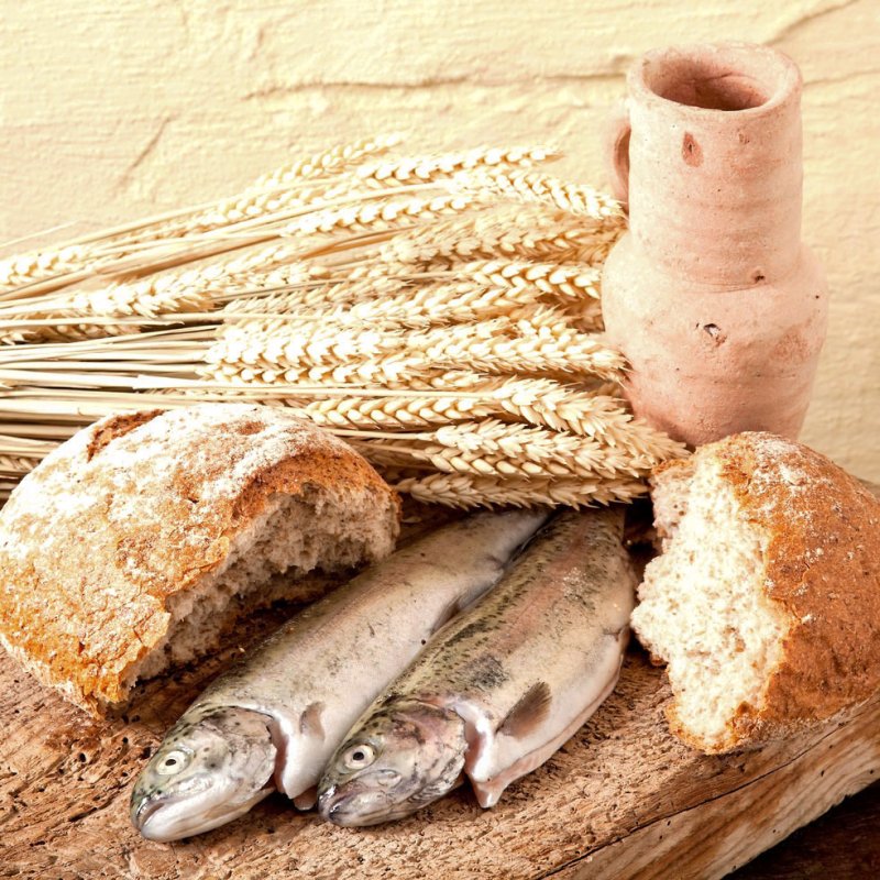 Pustiirea păcatului, pravila însingurării și bucuria întâlnirii cu Domnul (IV) 57544