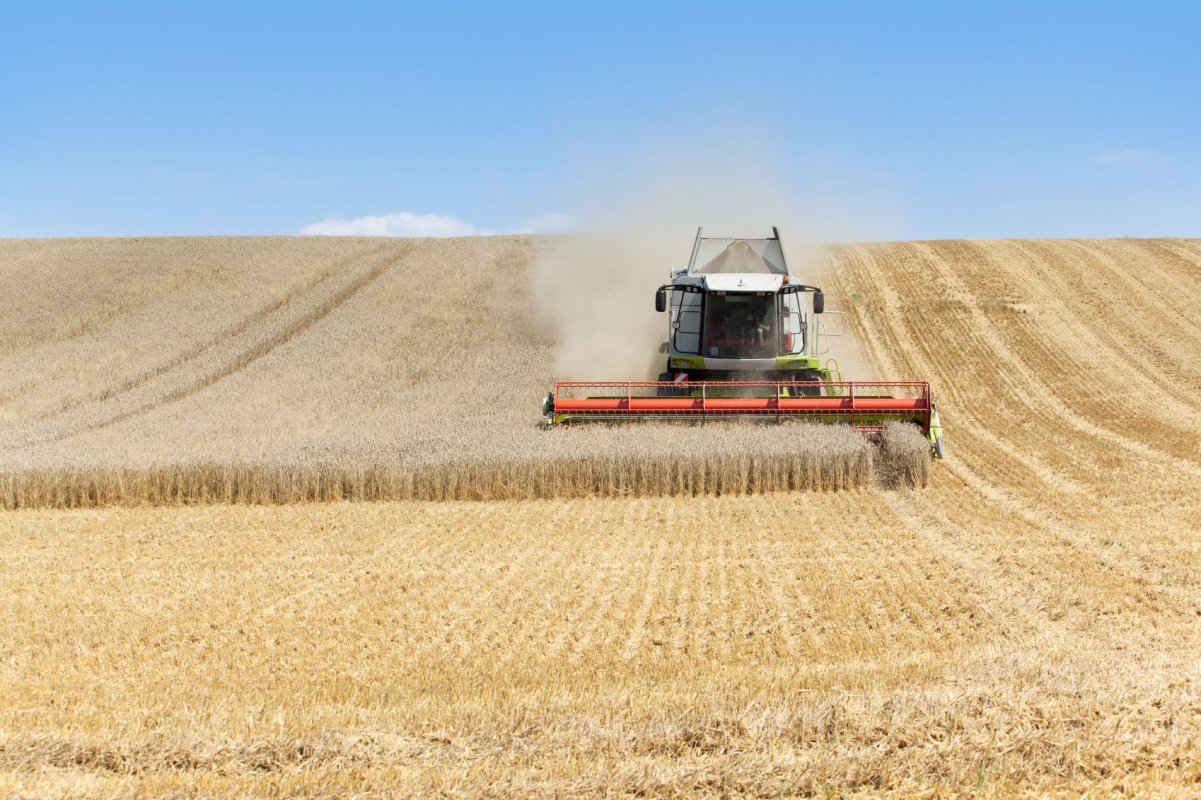 TVA de 9% la lucrările agricole 57548