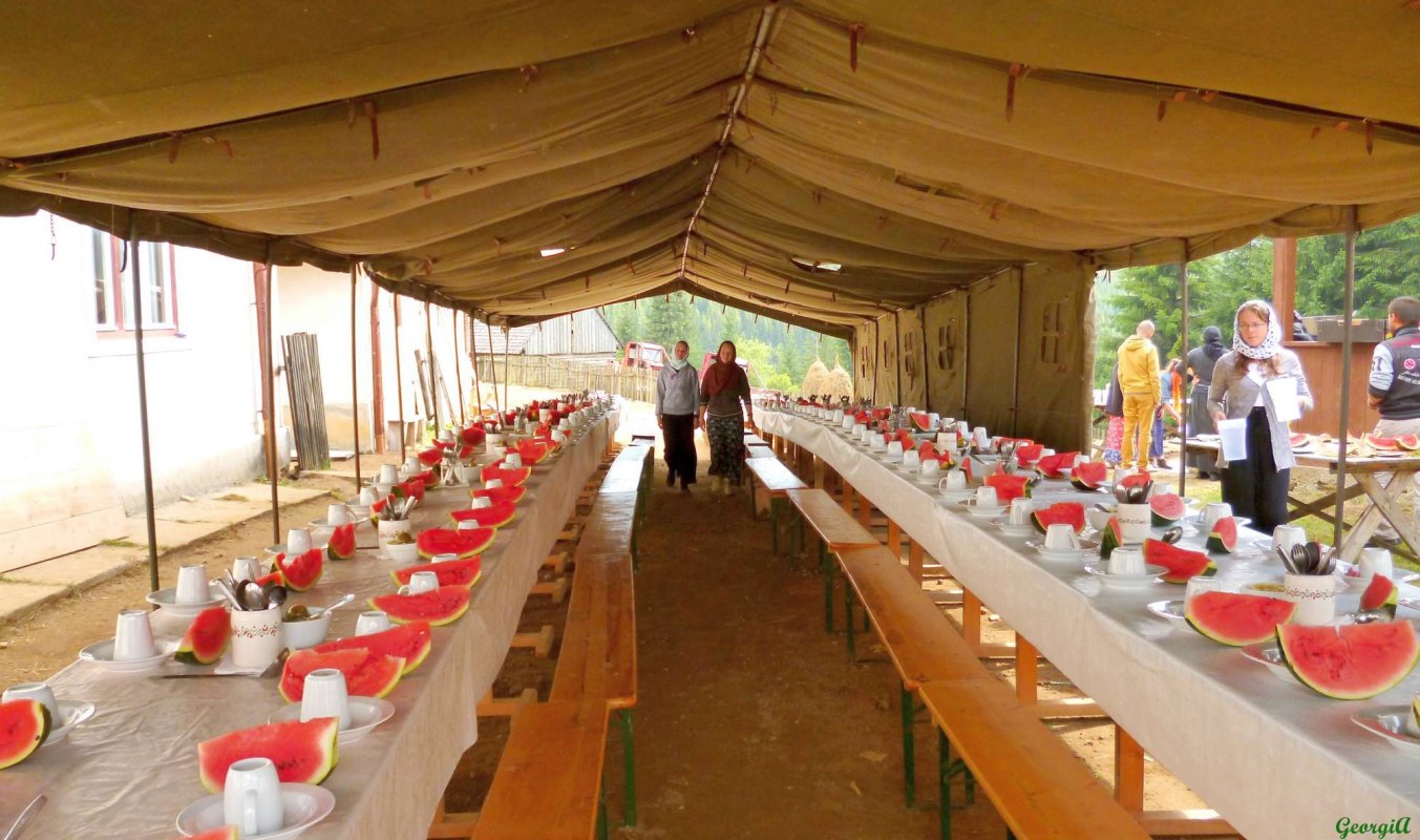 Tabăra de vară de la Oașa, un colț de rai 57361