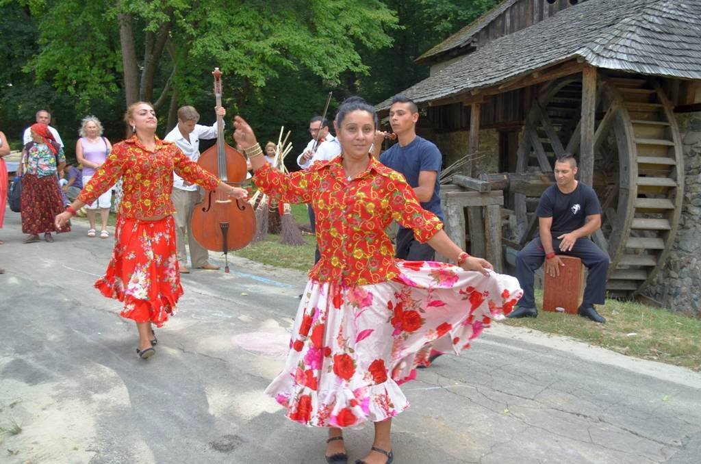 Şcoala de vară de cultură rromani, la Muzeul ASTRA 57058