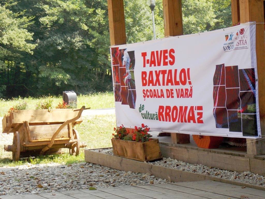 Şcoala de vară de cultură rromani, la Muzeul ASTRA 57062
