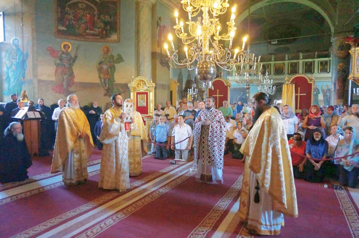 Libertatea omului duhovnicesc şi grijile vieţii 56890