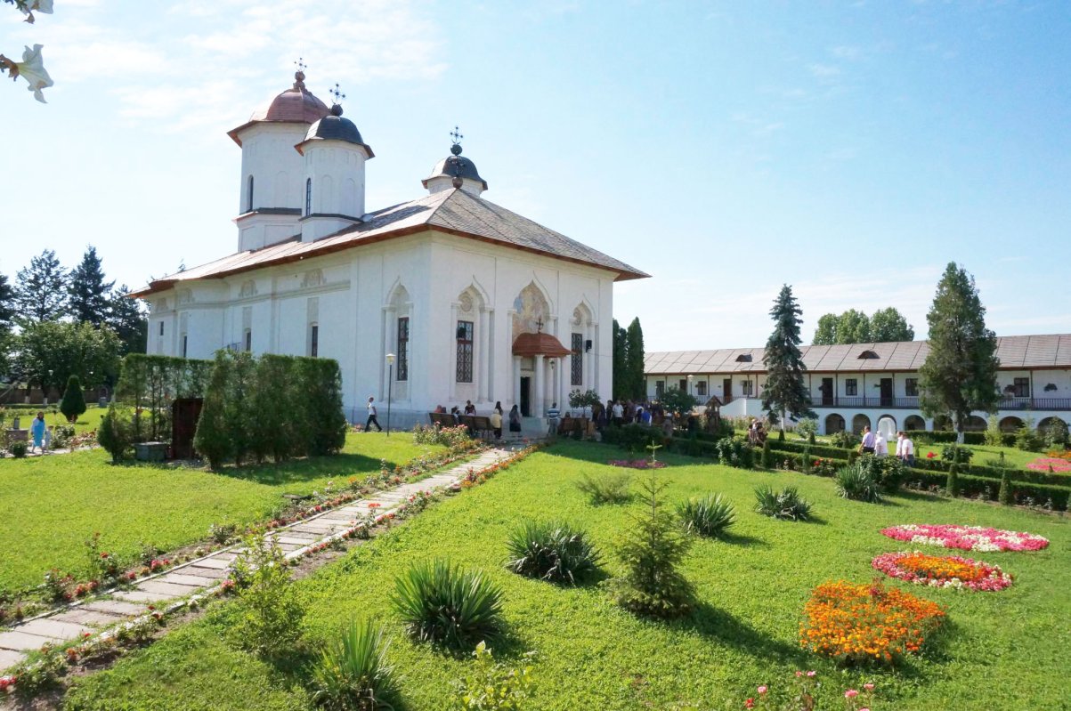 Libertatea omului duhovnicesc şi grijile vieţii 56891