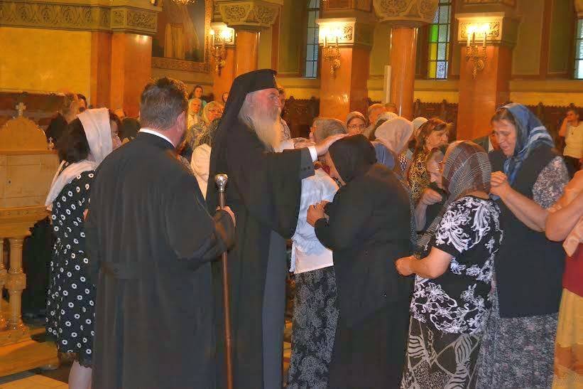 Misiune și pastorație  în Mitropolia Banatului 56799