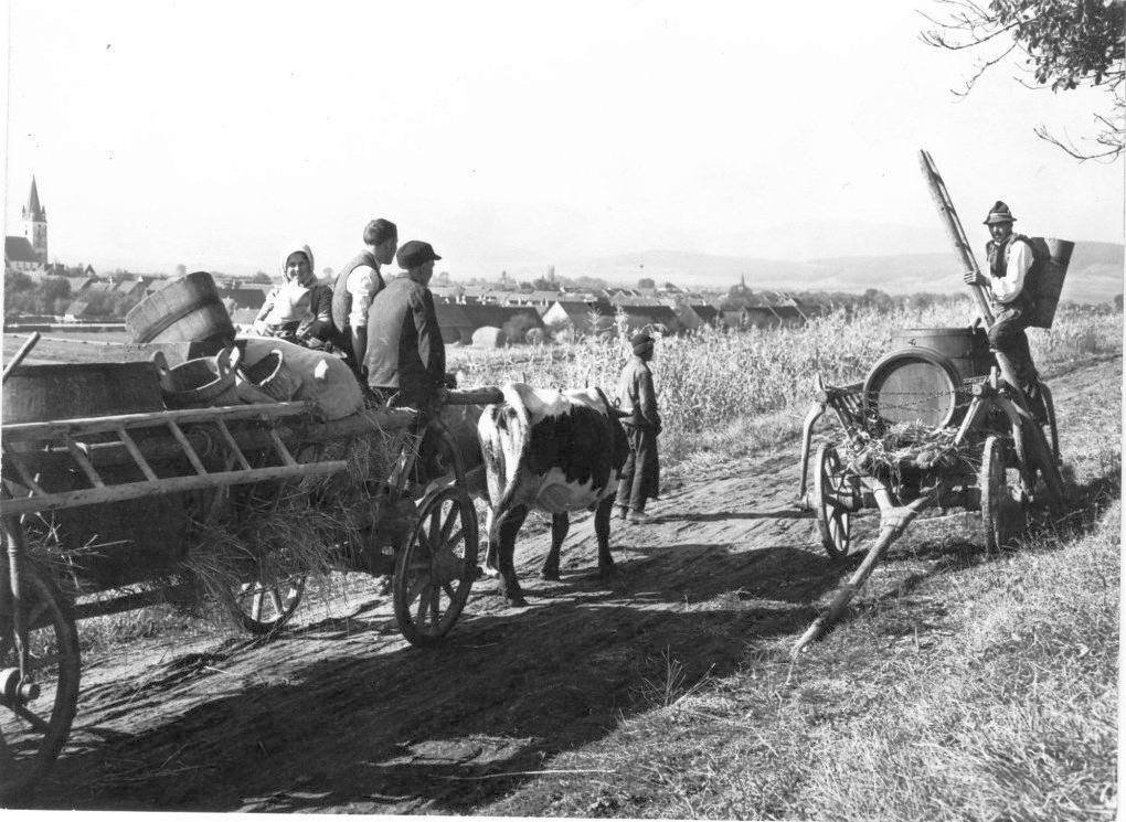 Comuna Cristian - Sibiu, la Târgul Comunităţilor Rurale din Muzeul ASTRA 56601