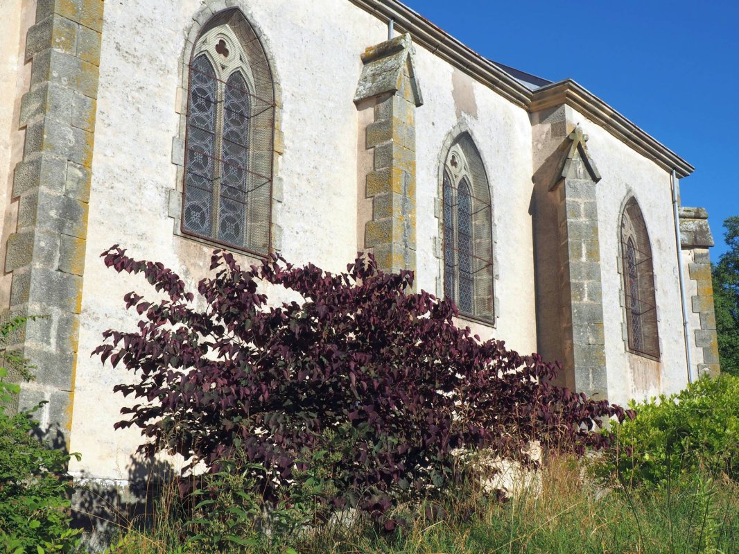 Tabără de muncă şi spiritualitate la Godoncourt, Franţa 56626