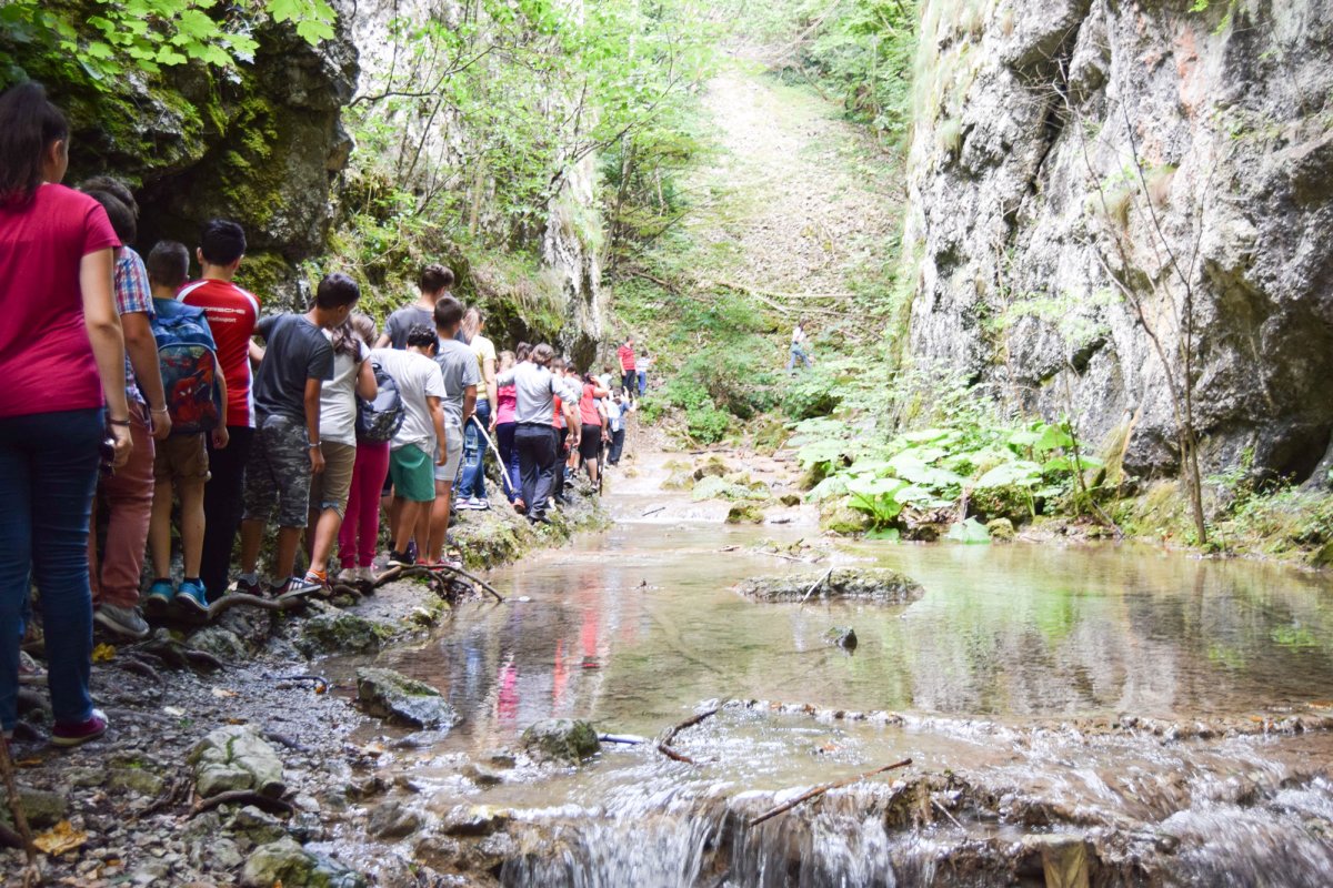 Excursie în cadrul programului „Tineri pelerini în Banatul de Munte” 56069