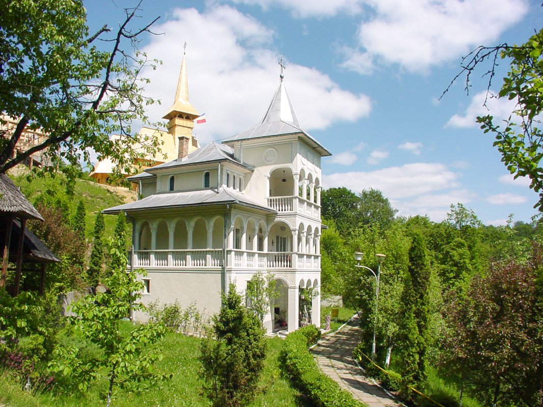 Regăsirea adevărului firesc al vieţii 56072