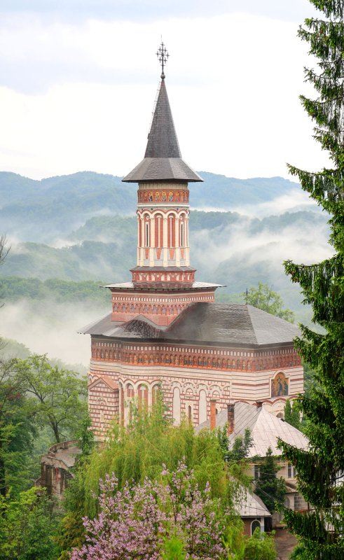 Regăsirea adevărului firesc al vieţii 56077