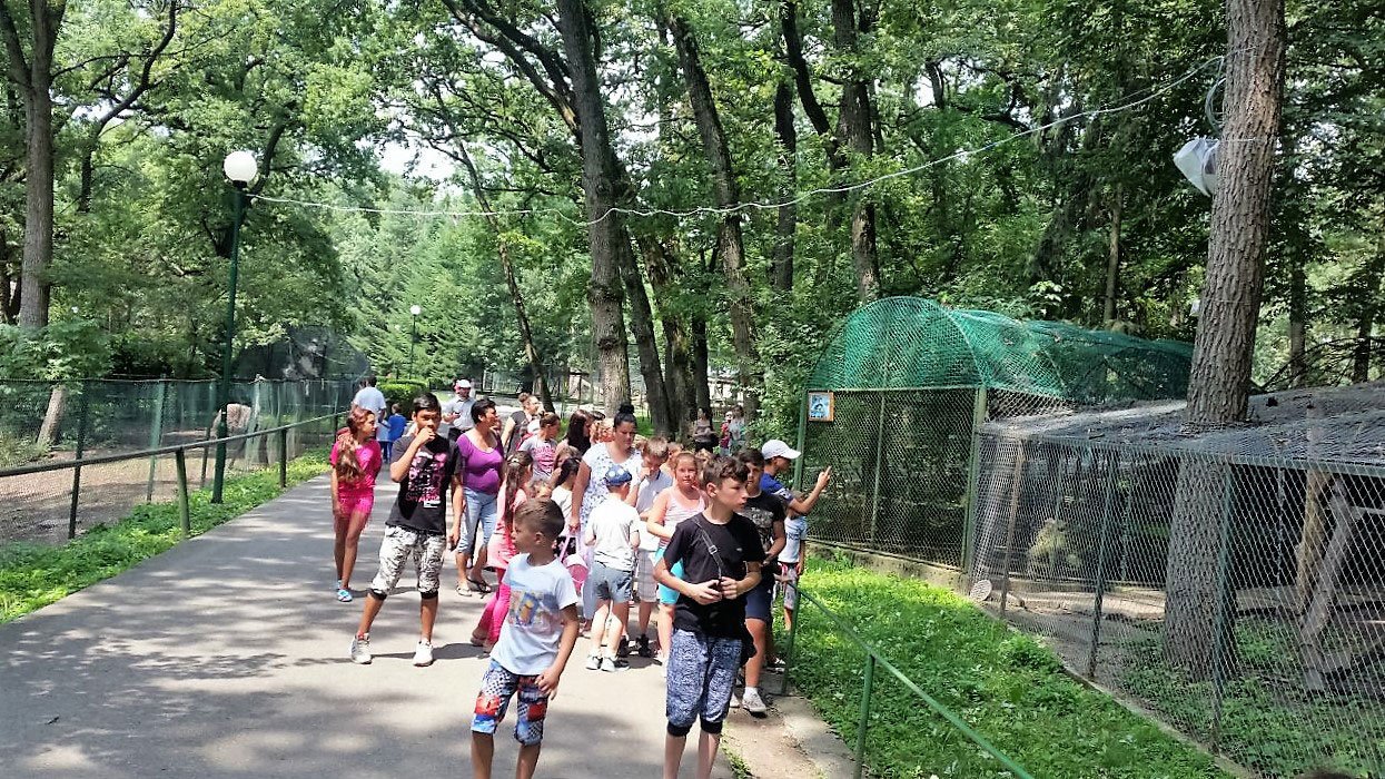 Tabără pentru copiii din Centrele de zi Războieni şi Silivaş, Alba 55664