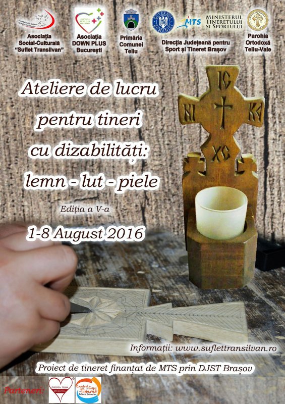 Tabără pentru tineri cu dizabilități la Teliu, Brașov 55551