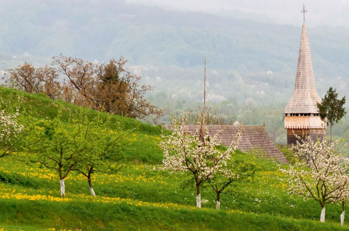 Cuvântul elevului: Adevărul se simte 55400