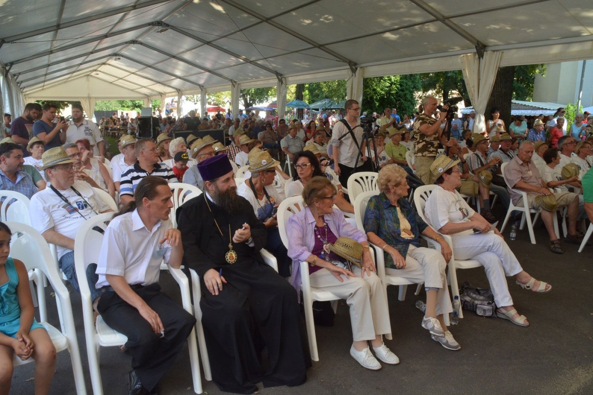 Întâlnirea aletenilor de pretutindeni în Ungaria 55263