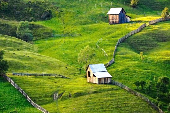 Căutarea şi regăsirea urmelor 54910