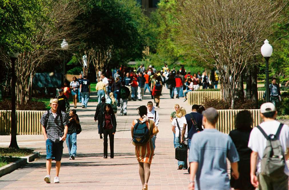 Stimulente de la stat pentru angajarea tinerilor 54913