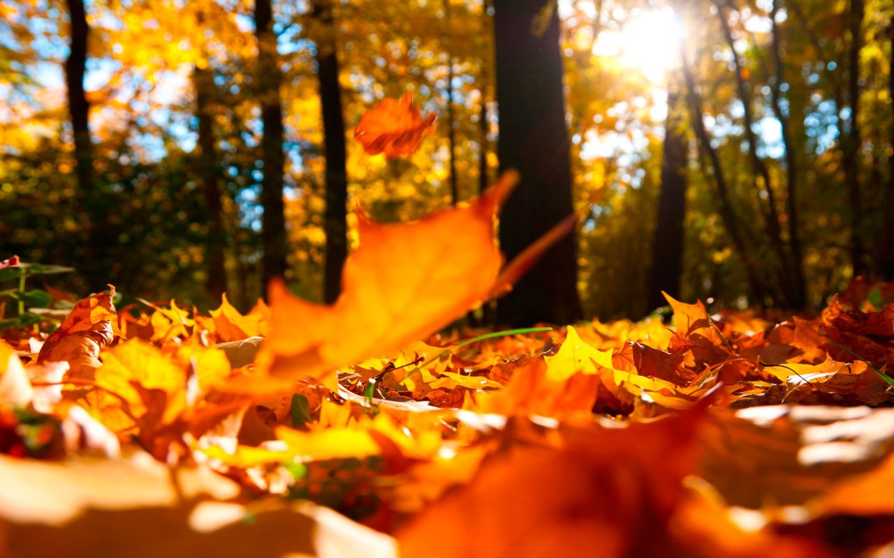 Gânduri în autogară 54715