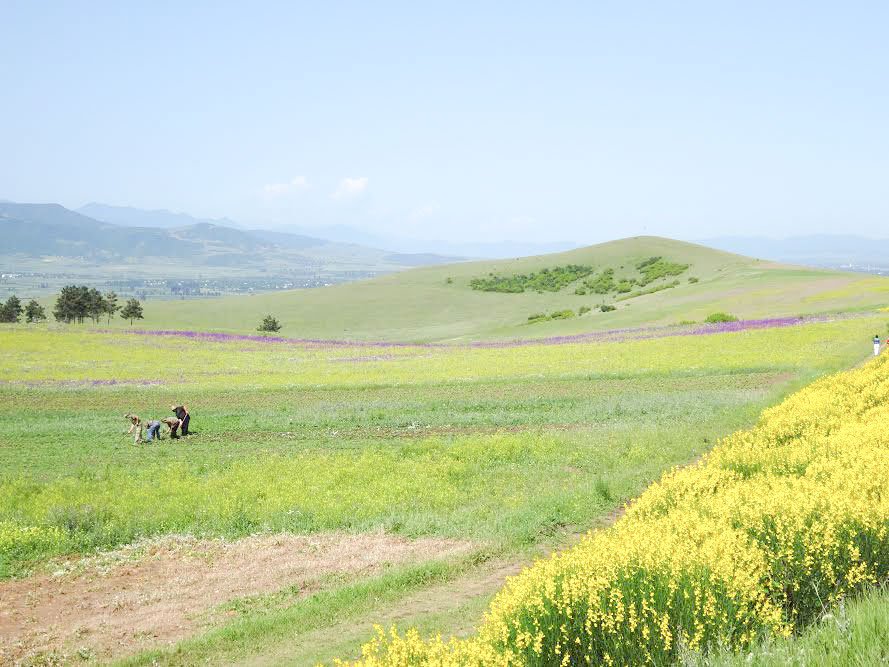 Cadastrare gratuită până în 2023 54651