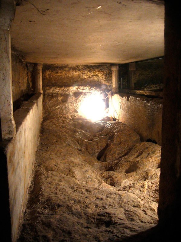 Emoții la Mormântul Maicii Domnului din Grădina Ghetsimani 54607