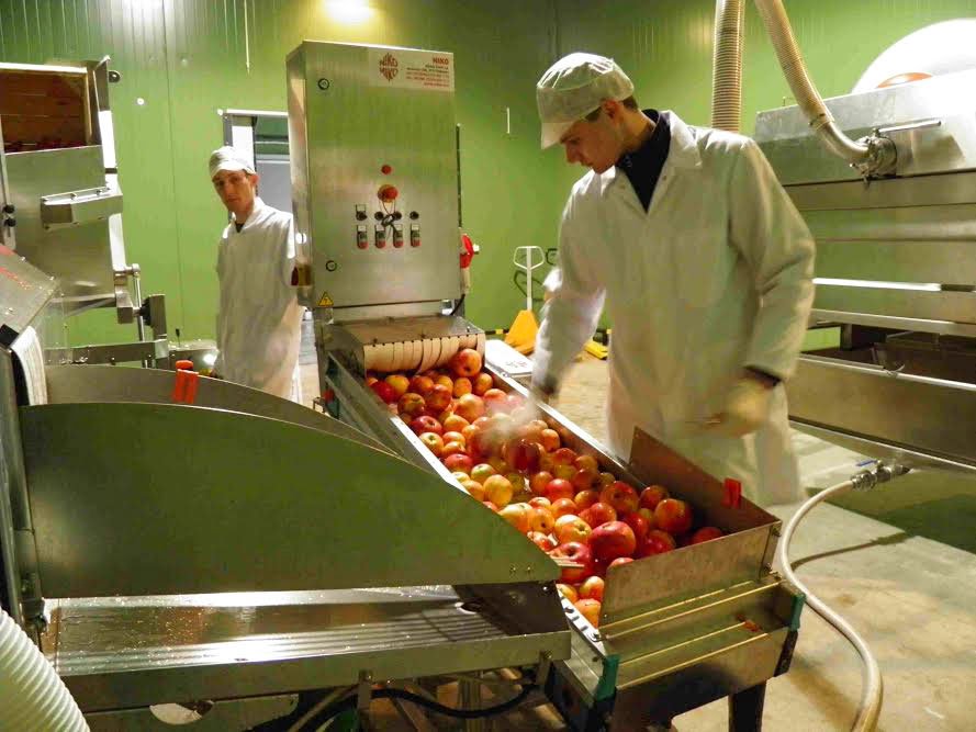 Fonduri pentru procesarea produselor agricole 54652