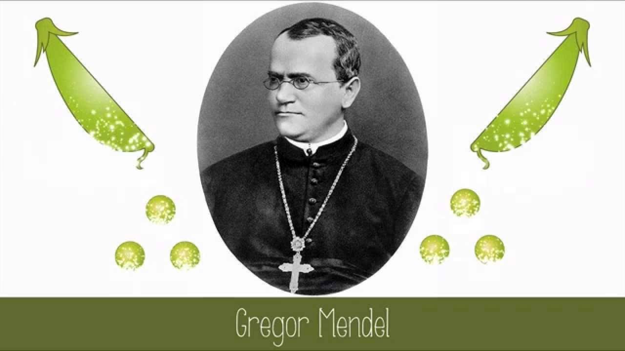 Cu frică de Dumnezeu, modestie și devotament pentru știință 54578