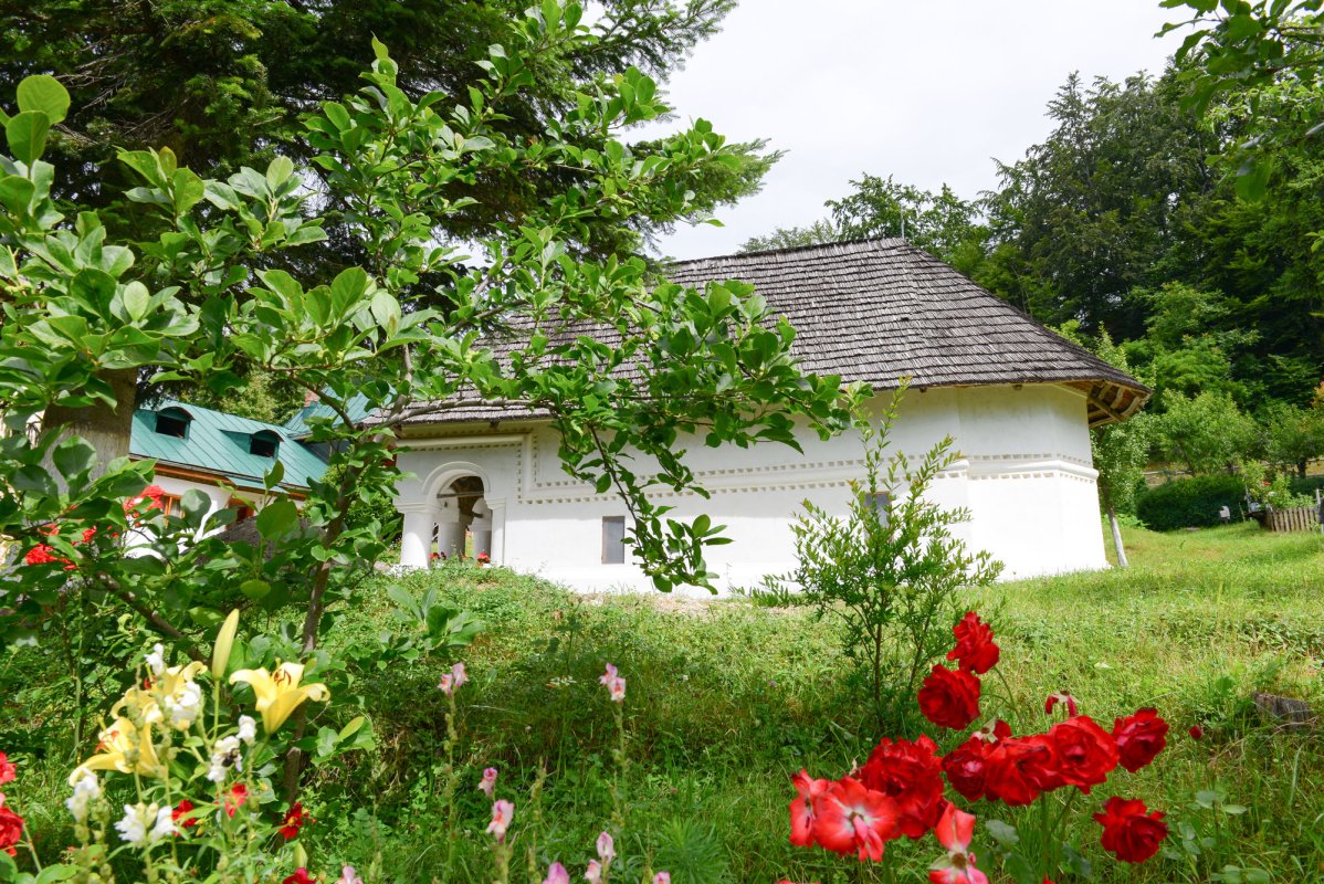 Bradu, mănăstirea suișului în lumină 54455