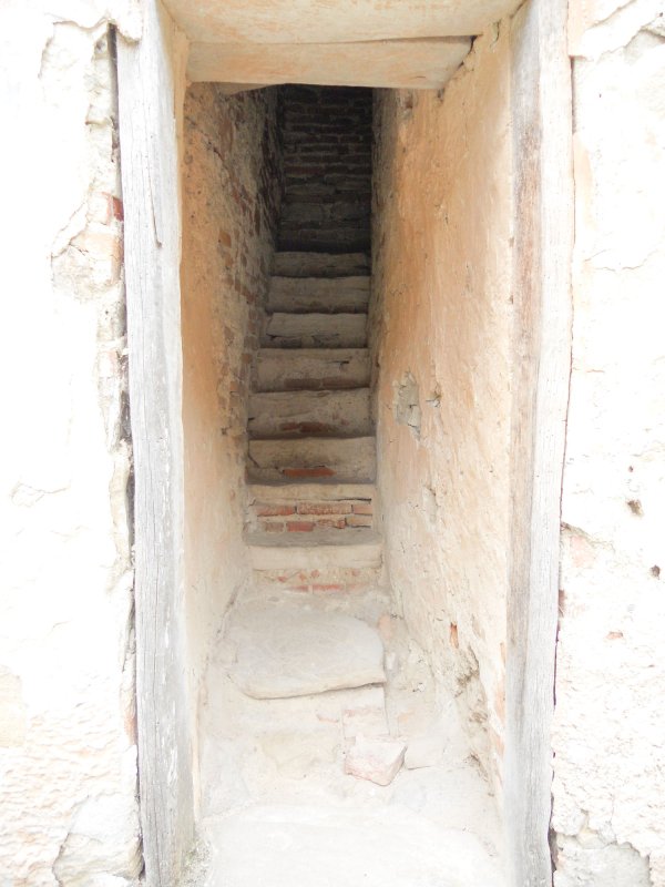 Bradu, mănăstirea suișului în lumină 54459