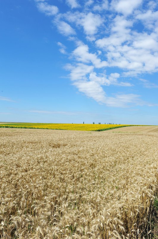 Nefățărnicie și înțelegere 54001