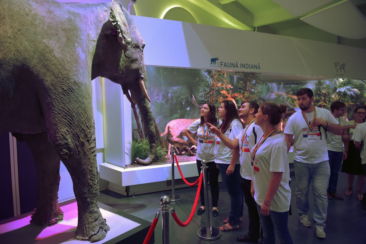 Tinerii au luat cu asalt muzeele Capitalei 53780