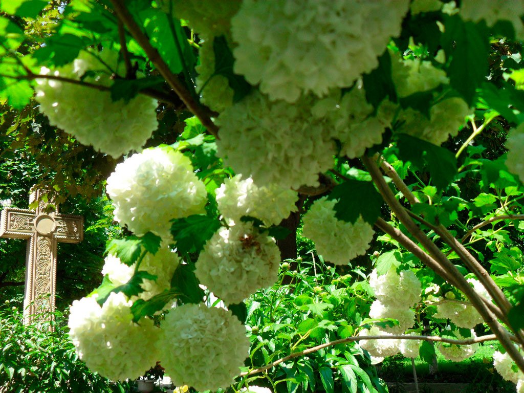 Mai știm să ne sărbătorim corect ziua numelui? 53620