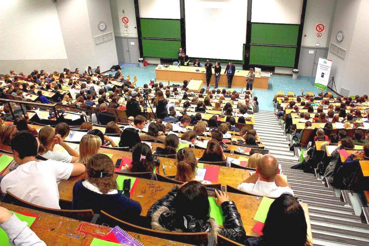 Educație înseamnă să știi cine ești și încotro te îndrepți 53494