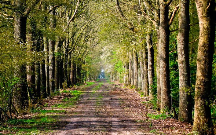 Înălțimea smereniei și adâncul orgoliului 53179