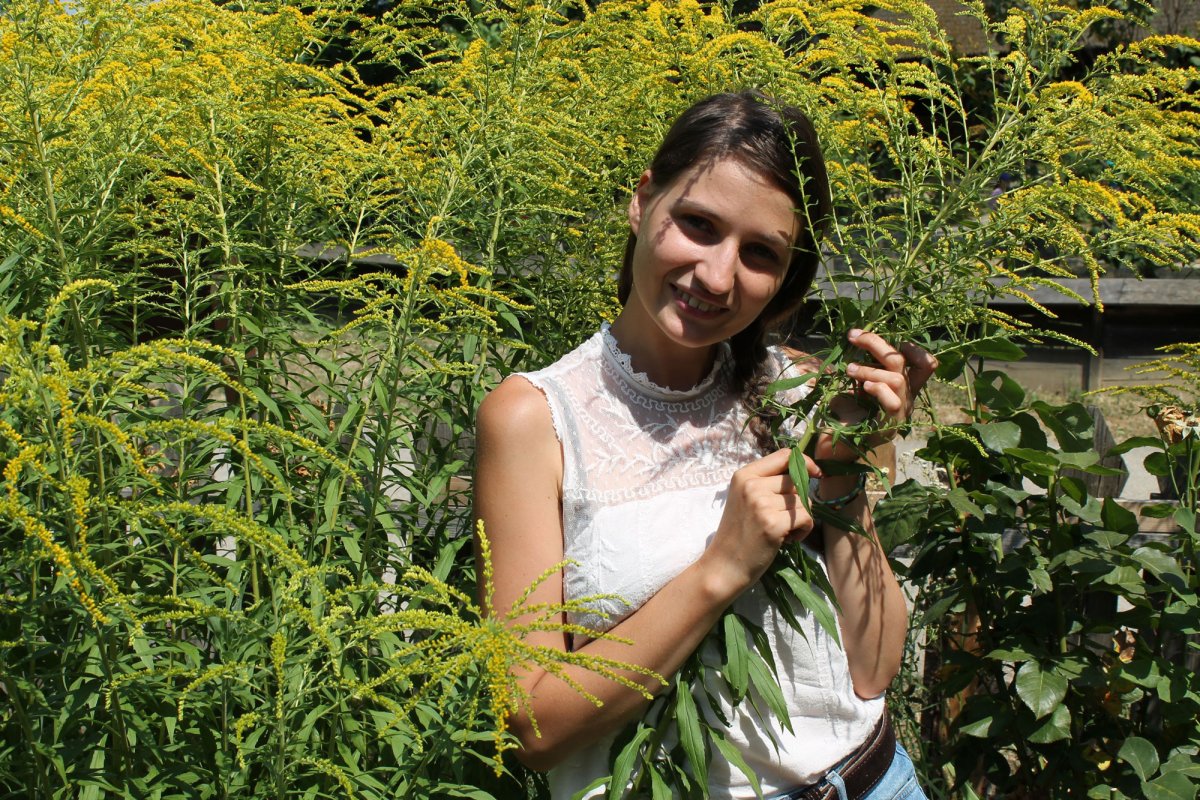 Lumea locuită de păpuşi a artistei plastice Alice Bîrcă 52829