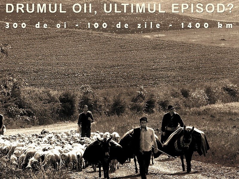 Oieritul în fotografii de expoziţie 52751