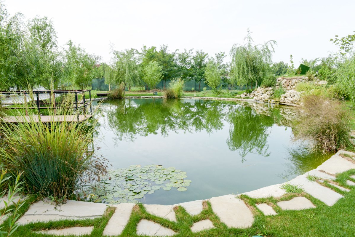 Vlahiia, grădina în care dăinuie memoria străbunilor 52713