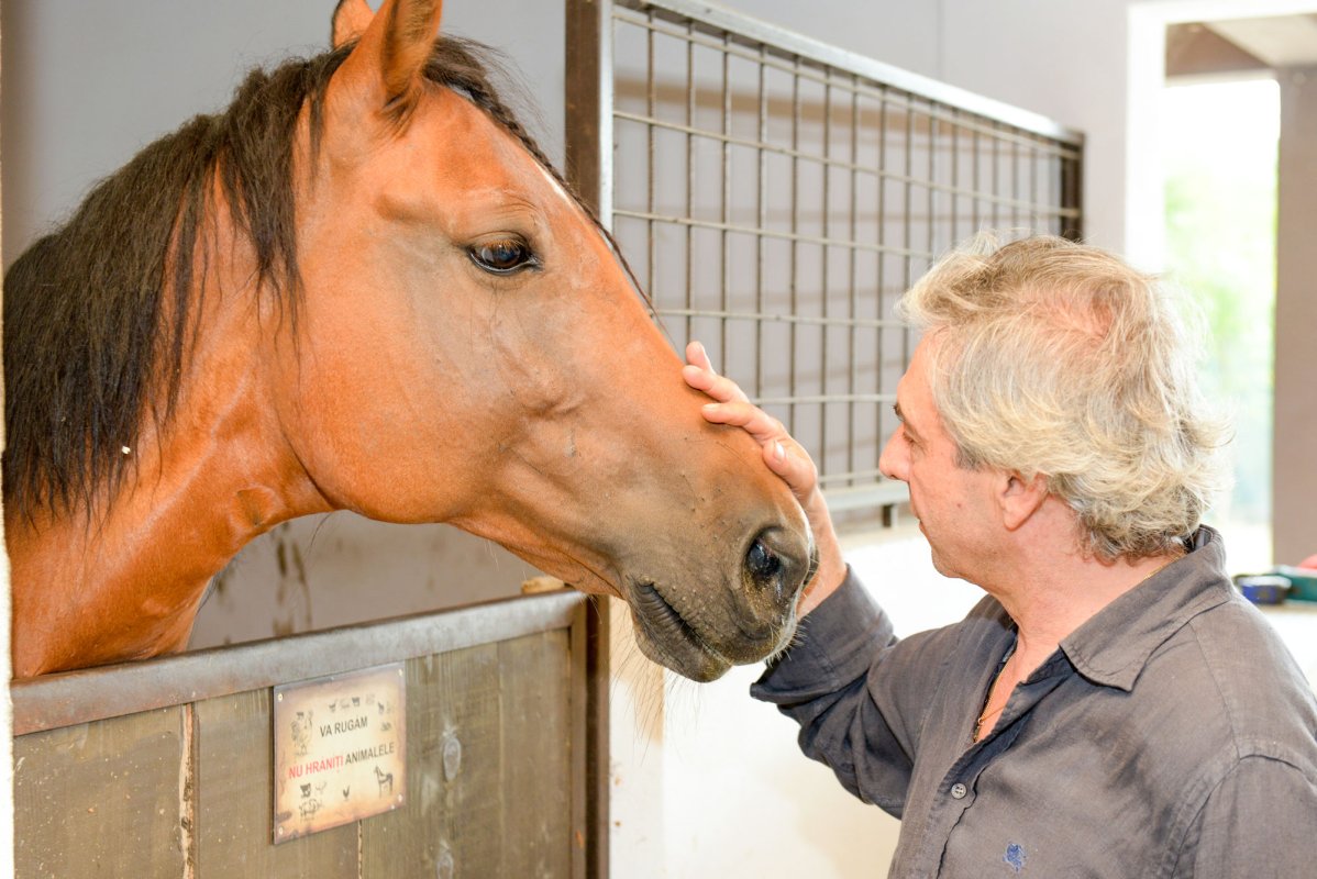 Vlahiia, grădina în care dăinuie memoria străbunilor 52715