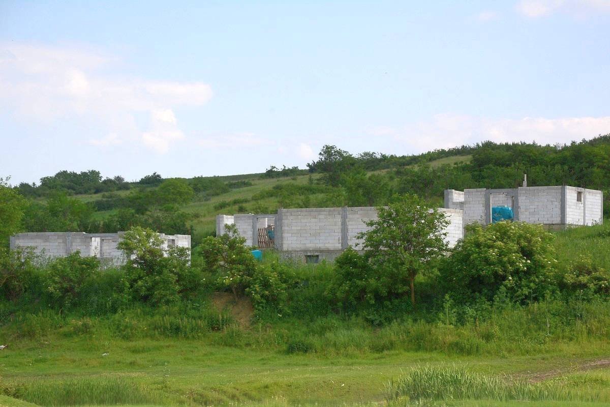 Tinerii de la „Omenia“ zidesc viitorul împreună 52615