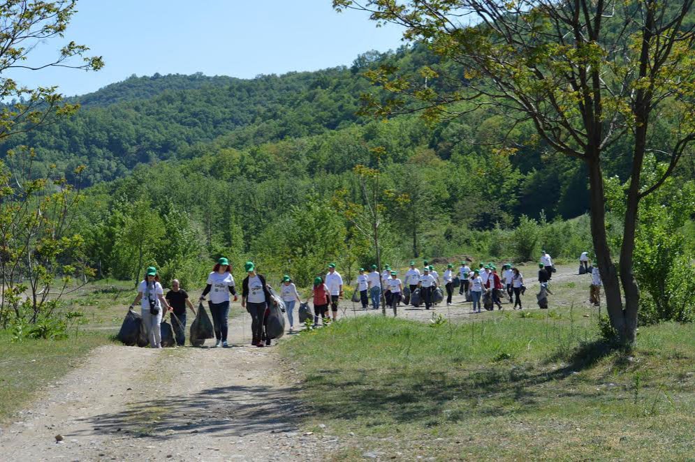 Acţiuni de ecologizare în toată România 52613