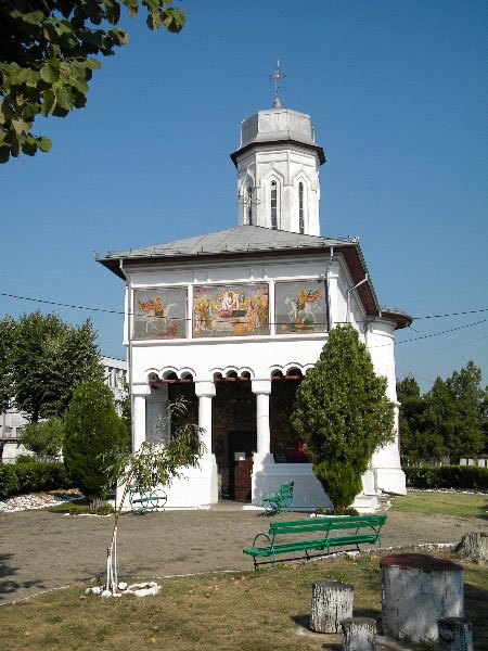 Proiectul „Glasuri cristaline” 52577