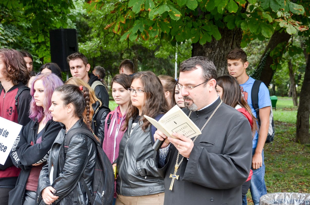 Timișoara, capitala lecturilor publice 52384