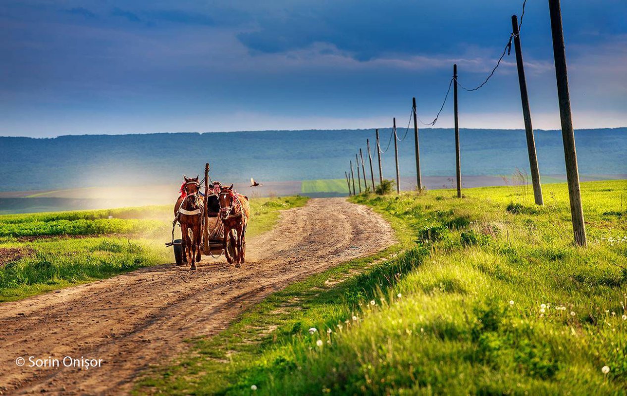Cu tataie Gheorghe la plimbare pe cer 52047