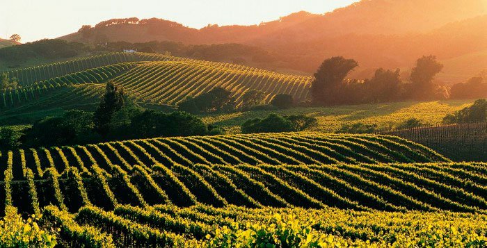 Experimente mentale în lumina Logosului 51990