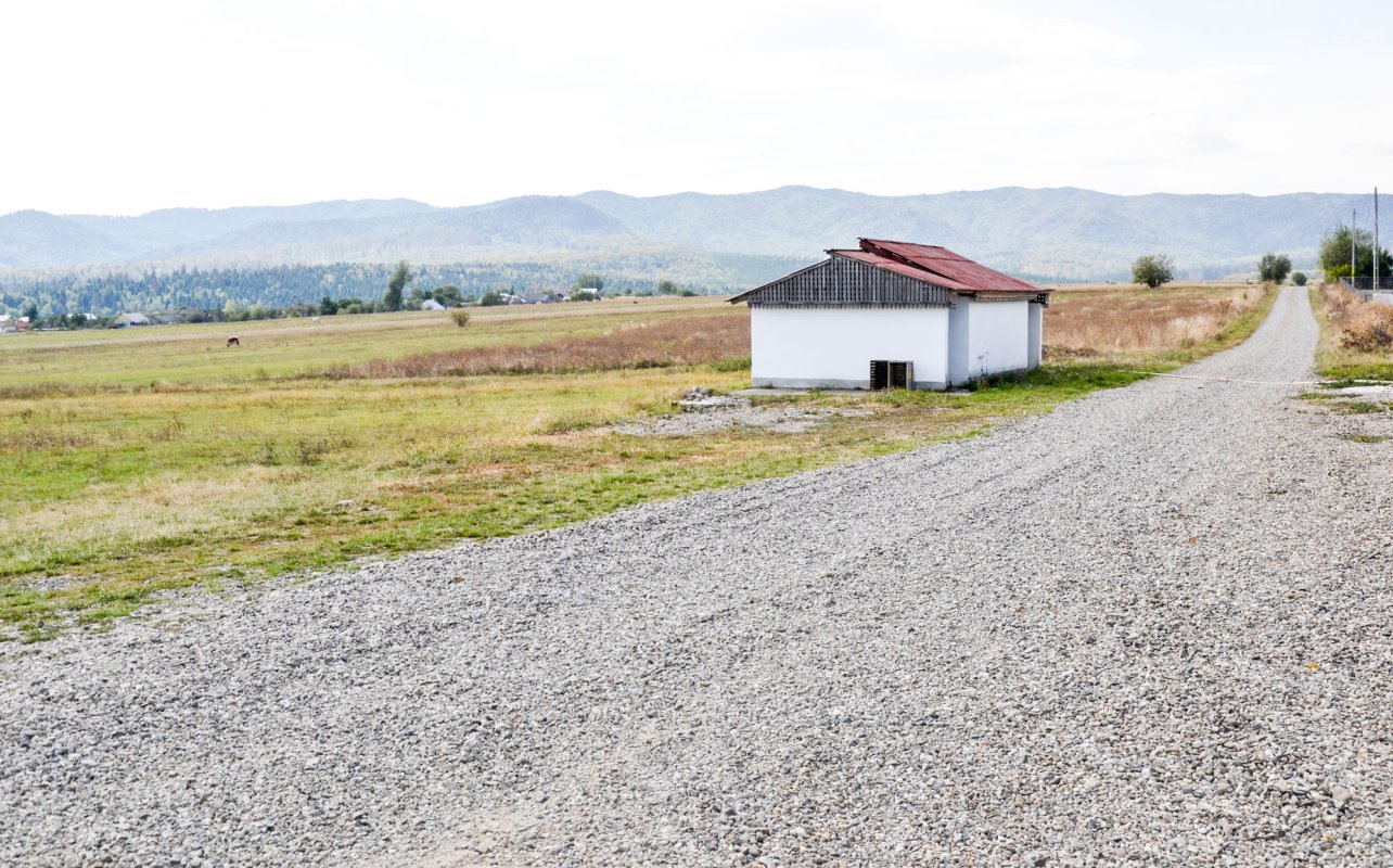 „Aici e casa noastră” 51796