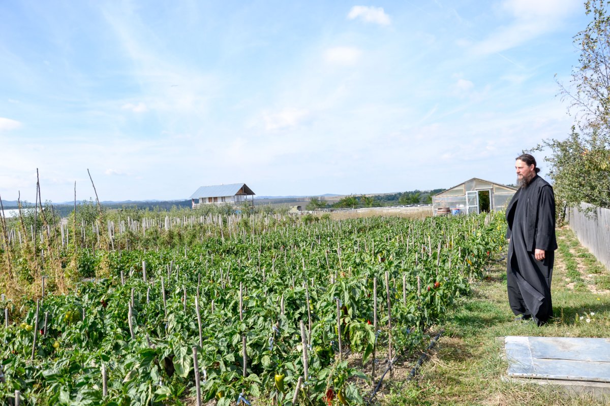 „Aici e casa noastră” 51797