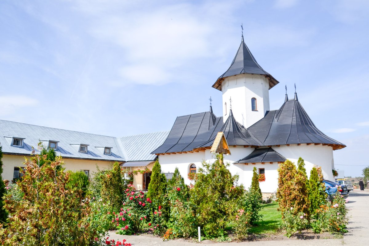 „Aici e casa noastră” 51798