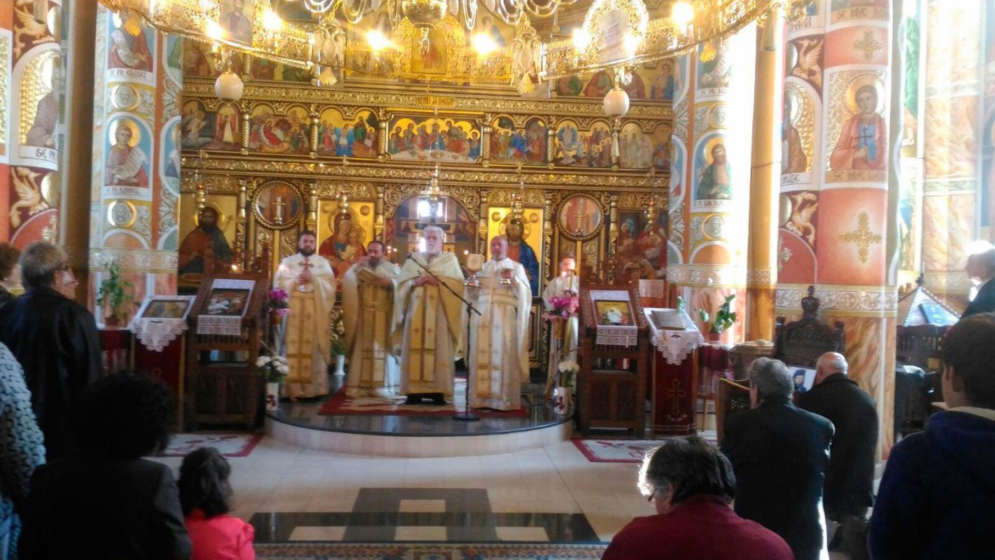 Sfânta Liturghie în limbaj mimico-gestual 51642