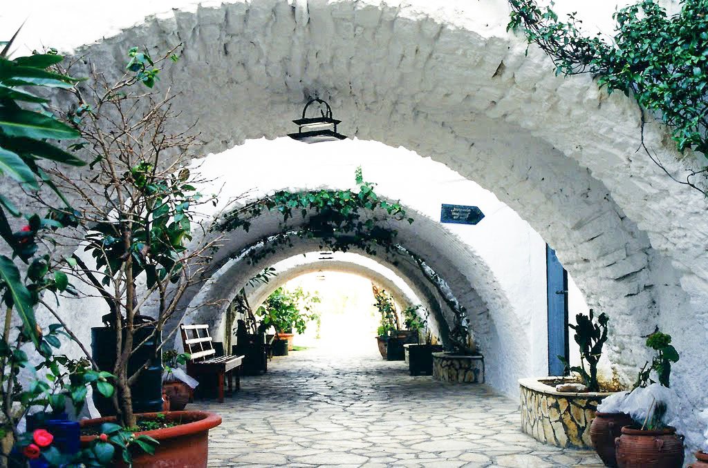 În grădina Maicii Domnului din Paleokastritsa 51582