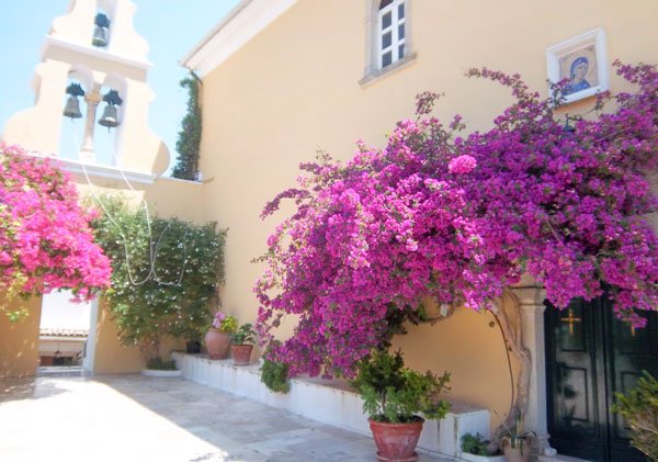 În grădina Maicii Domnului din Paleokastritsa 51585